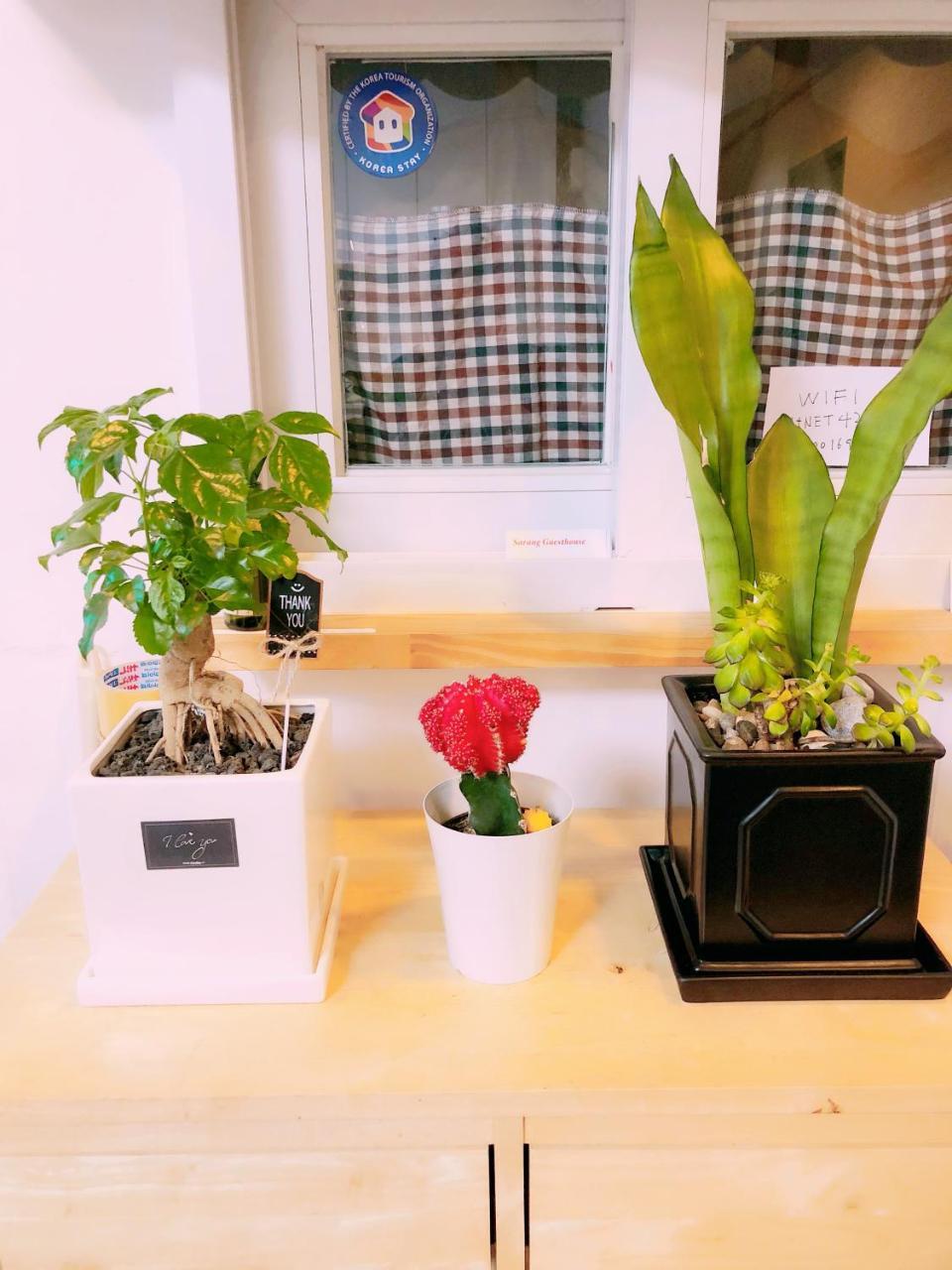 Sarang Guesthouse Dongdaemun Seoul Eksteriør bilde